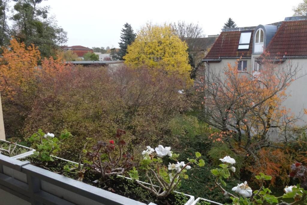 Schoene, Ruhige Wohnung In Berlin-Steglitz Berlim Exterior foto